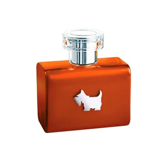 Ferrioni Orange Terrier 100 ml EDT Spray