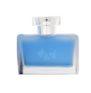 Ferrioni Ice Blue 100 ml EDT Spray