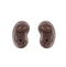 Samsung Auriculares Galaxy Buds Live Mystic Bronze Rosa